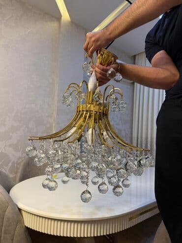 Biologiya: Çılçıraq, 10 və daha çox lampa, Metal — 2