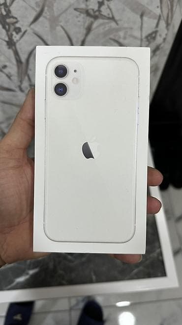 IPhone 11, Ağ