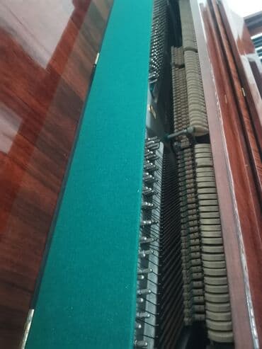 royal cat jakne: Piano, Belarus, Akustik — 5