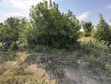 ev gence: 6 sot, Tikinti, Mülkiyyətçi, Kupça (Çıxarış) — 4