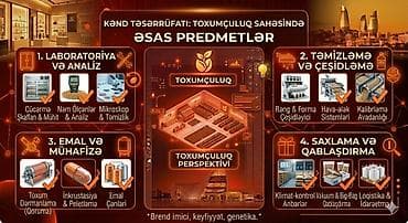 Suni intellekt en istediyiniz dizayn video material hazirlamaq — 5