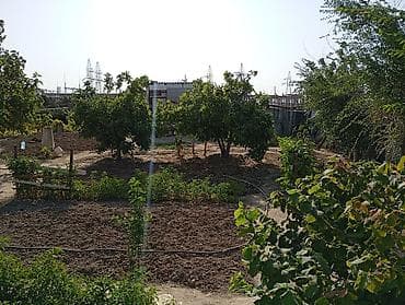 savalan torpag: Kənd təsərrüfatı — 3