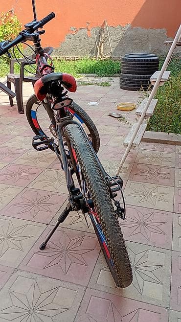 velosiped icarə: Velosiped – dağ/şose tipli, “VELOCRUZ” dizaynlı təkərlər — 3