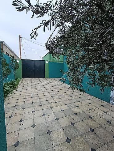 polad hesimov kucesinde evler: Satılır: Həyət evi - Həyətyanı sahə: Tamamilə metlaxla döşənmiş geniş — 2
