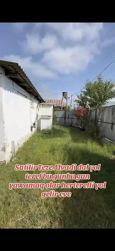 kiraye evler 2021 gence: Satılır: Masallı r., Təzə Alvadı kəndində satılıq həyət evi / torpaq — 3