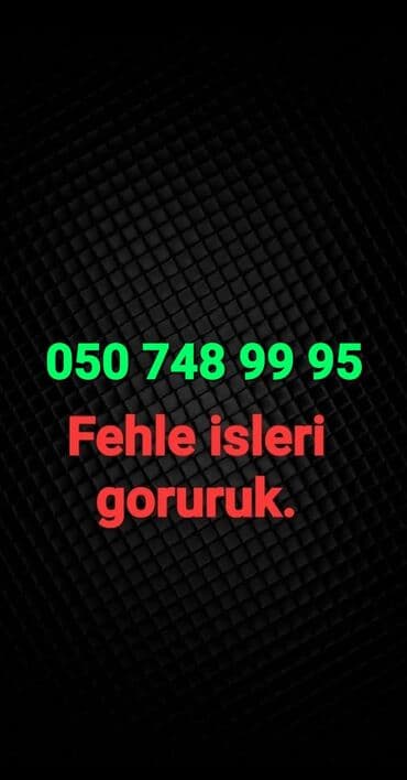 Разнорабочие: Fehle isleri goruruk. 2 ve 3 nefer oluruq ise gore. ise baxib — 1