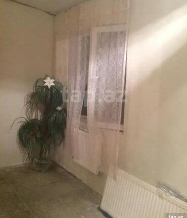 ağdaş kirayə evlər: Bileceride heyet evi 2böyük otaqlar otaqlar 6 m uzunu 4 yarım eni — 4