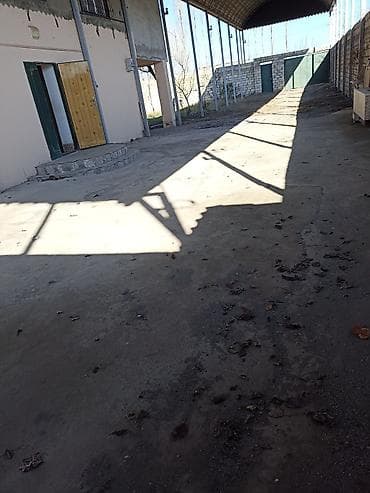 Həyət evləri və villaların satışı: 10 otaq, 261 kv. m, Kredit yoxdur, Orta təmir — 7