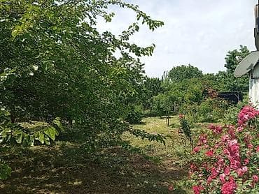 torpaq satşı: 8 sot, Biznes üçün, Mülkiyyətçi, Kupça (Çıxarış) — 2