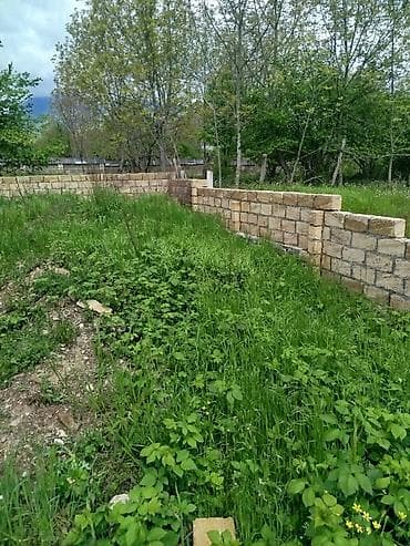dede qorqud qesebesi: 3 sot, Biznes üçün, Mülkiyyətçi, Kupça (Çıxarış), Texniki pasport — 8