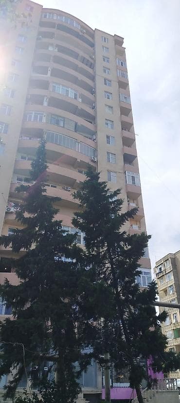 Otaq yoldasi xanim lazimdi evde 2 xanim qalir 1 xanimda lazimdi