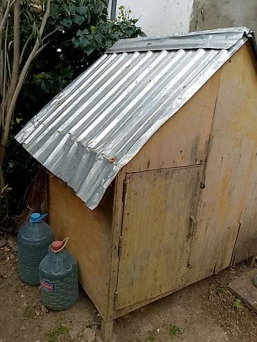 şirin pişikler: Taxta quş yuvası - Material: gövdə – möhkəm faner/taxta, dam – — 4