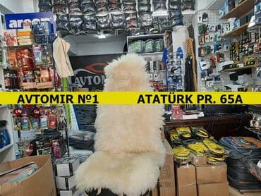 oturacaq qızdırıcı: Qoyun yunundan örtük 🚙🚒 ünvana və bölgələrə ödənişli çatdırılma — 1