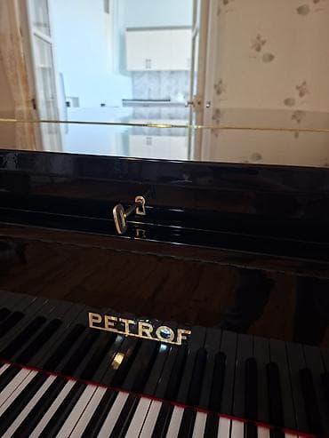 gitara simi: PETROF konsert royalı - Brend: PETROF (Çexiya istehsalı, Avropa — 6