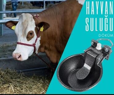 cücə yemi: Yem qabı, Su üçün, Heyvanlar üçün, Pulsuz çatdırılma, Ödənişli çatdırılma, Ünvandan götürmə — 2