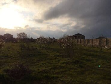 ist petrol tbilisi prospekti: 25 sot, Tikinti, Kupça (Çıxarış) — 7
