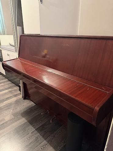 roma: Upright pianino – Юность ) modeli - Korpus: parlaq tünd qəhvəyi taxta — 5