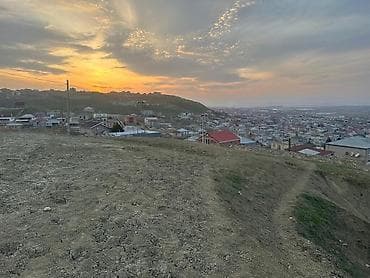 torpag sahesi: Tikinti — 2
