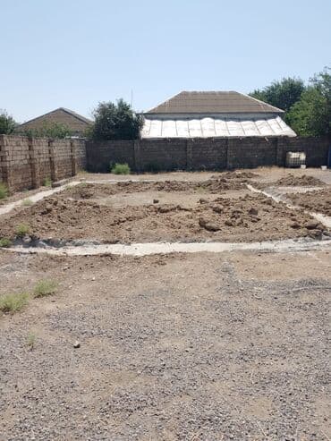 ferma icarəyə verilir: 16 sot, Kupça (Çıxarış) — 5