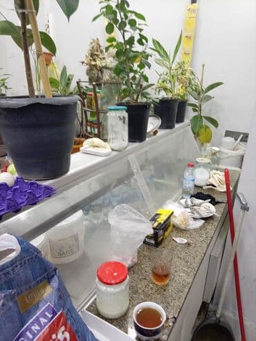 Soyuducu kameralar: Satılır: Soyuducu vitrin (mağaza üçün) - Tip: Üfüqi vitrİN-buzxana — 2