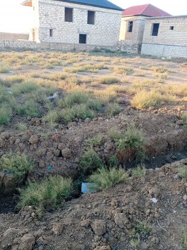 xacmaz torpaq sahesi satilir: 5 sot, Kənd təsərrüfatı, Mülkiyyətçi, Kupça (Çıxarış) — 9