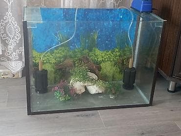ev toyuqları: Dördbucaq akvarium, Boş, 100 l — 3