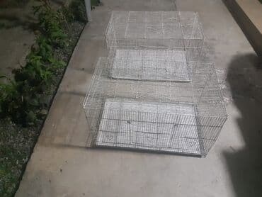 baliq tutmaq ucun yemler: 2 si biryerde 100manat

- yalniz whatcapla — 3