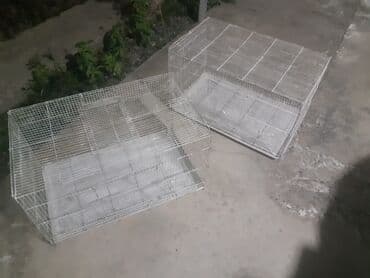 baliq tutmaq ucun yemler: 2 si biryerde 100manat

- yalniz whatcapla — 1