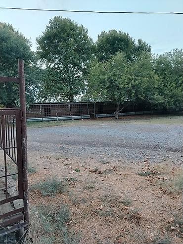 heyvan bazari tap az: Ferma/təsərrüfat kompleksi - Heyvandarlıq üçün tikili və açıq — 6