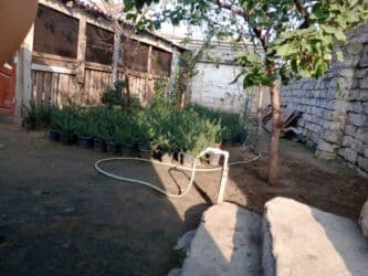 bakida saatliq evler: Balaxanı qəs. 4 otaqlı, 200 kv. m, Kredit yoxdur, Orta təmir — 9