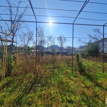 tərtər ev: 18 sot, Tikinti, Barter mümkündür, Kupça (Çıxarış) — 15