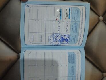 xarkov toyuq yumurtası: Kane-Korso, 2 il, Erkek, Peyvəndli, Ünvandan götürmə — 4