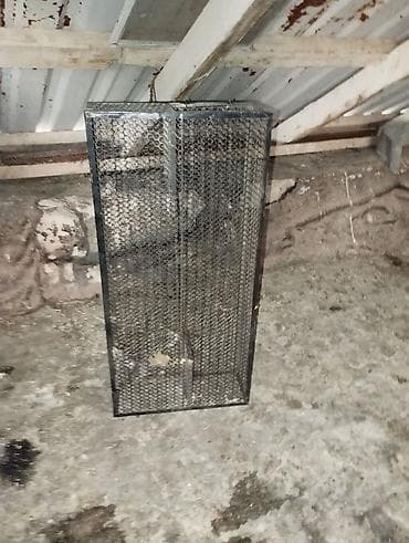 Reyal alıcıya endirim olacaq lalafo.az -da Reyal alıcıya endirim olacaq