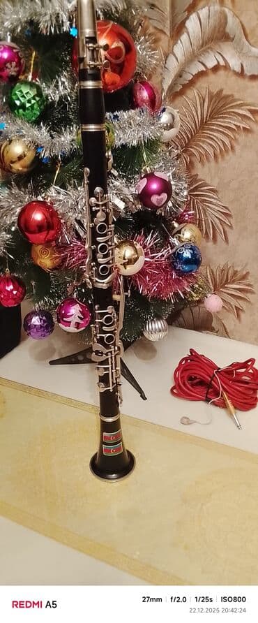 Гитары: Klarnet Ağac b Clemis mener 8metrlik Şunur kaspsullar üstündə — 1