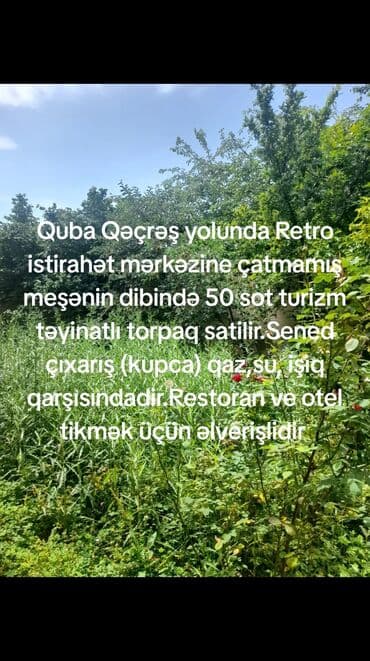 50 sot, Tikinti, Kupça (Çıxarış)