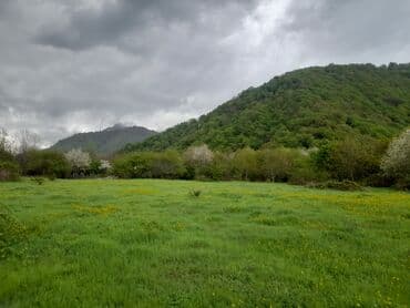 sabuncu rayonu sabuncu qesebesinde satilan evler: Qəbələ rayon Bum qəsəbəsində ve qəmərvan kəndində torpaq,ev satişi,ve — 2