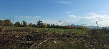 lalafo долгосрочная аренда квартир: 15 соток, Для сельского хозяйства — 4