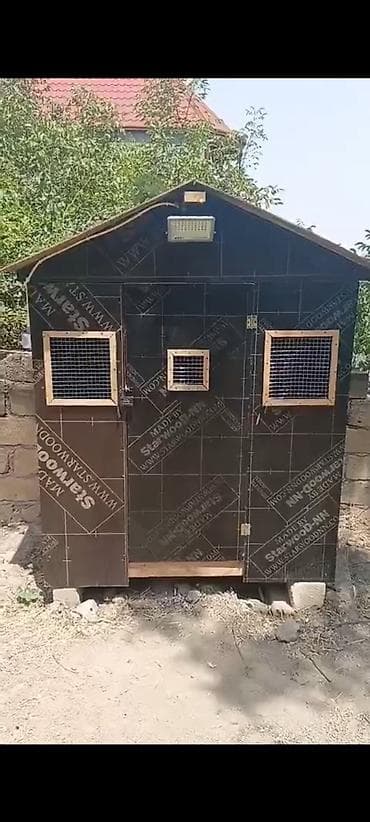 quş yuvası düzəltmək: Satılır quş damı Qara playwood materialdan yığılıb, keyfiyyətli və — 4
