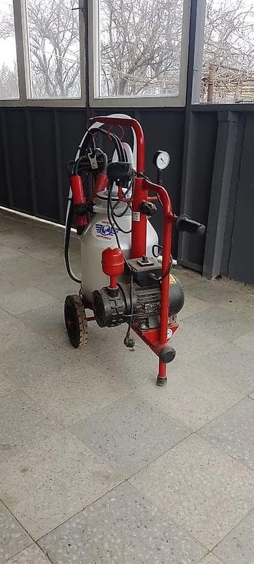 İnkubatorlar: Tək bidon — 2