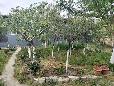 kiryaye evler: Sumqayıt, 5000 kv. m, 8 otaq, Hovuzsuz, Qaz, İşıq, Su — 1