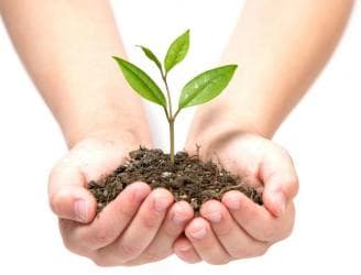 Оказываем услуги цветоводства, садоводства и ухода за растениями