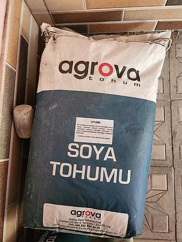 torf satilir: Soya toxumu satilir 75 kiloqram — 2