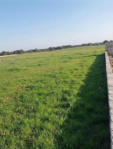 2 sot, Maklerlər narahat etməsin, Kupça (Çıxarış)