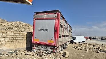 Heyvan daşıma üçün yarımqoşqu – 3 oxlu Xüsusiyyətlər: - Tip: Canlı