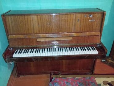 2 ci sinif musiqi dərslik: Piano, Akustik — 3