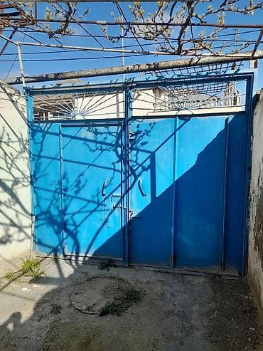 demir qapi darvaza: Dəmir Həyət darvazası, Mexaniki, Qapı ilə, rəng - Mavi — 3