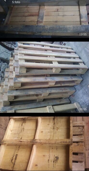 Tata: Nestandart poletlər. VATSAP AKTİVDİR — 1