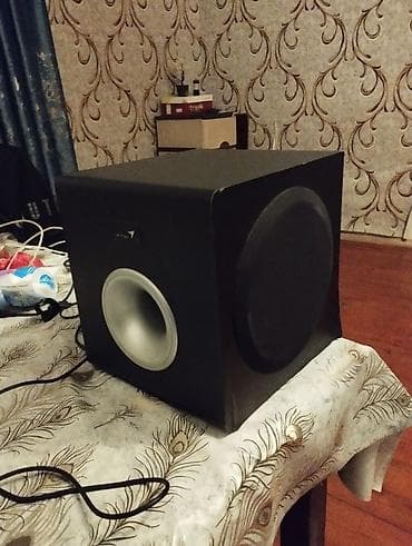 Genius Kolonka, Növ - Sabvufer, rəng - Qara