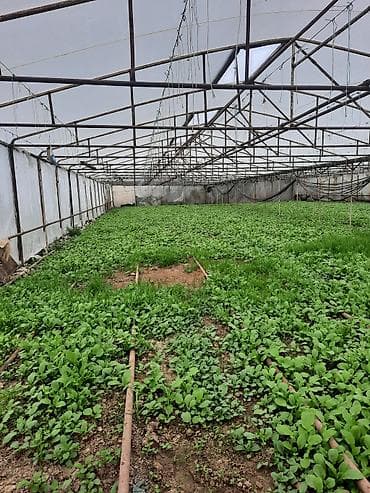 8sotdu kayıtları işləkdir hem odunla həm yağla yanir materialı