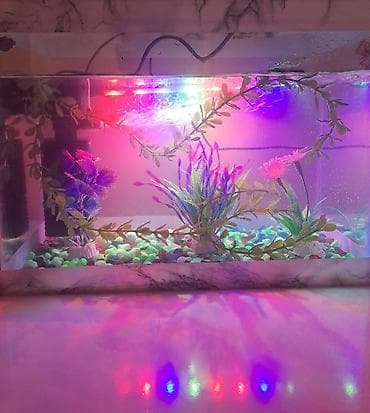 077 613 12 74 LED işıqlı akvarium dəsti - Şüşə akvarium, mərmər